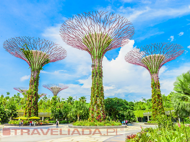 Singapur - Indonezja z wypoczynkiem na Bali